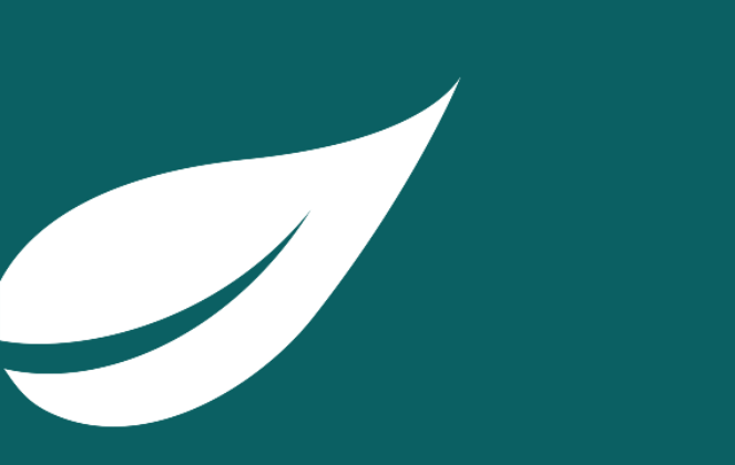 Case study: Hold an executive strategic process online Kumquat Mark teal rectangle - Case study: Hold an executive strategic process online
